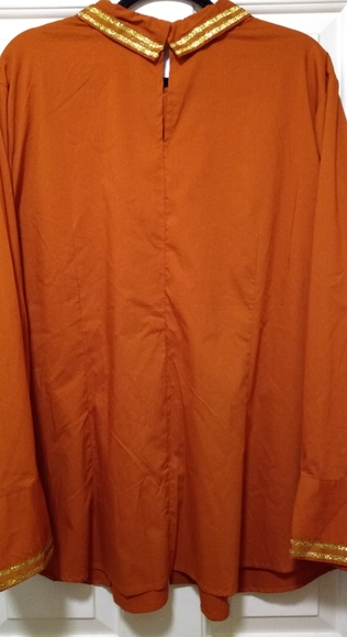 Bold & Gold Detailed, Burnt Orange Button Down Top - Picture 4 of 15